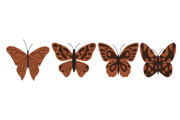 Beauty Butterfly Animal Design