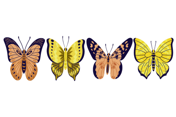 Beauty Butterfly Animal: Graphics & Illustrations for Brand Storytelling