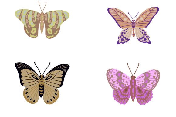 Butterfly Animal Design: Graphics & Illustrations for Warm, Handmade Branding