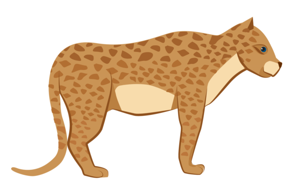 Leopard Icon Graphics: Jungle Illustrations for Local Branding