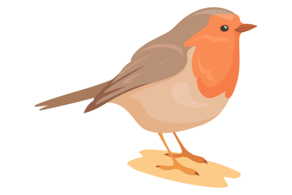 Robin Bird Graphics: Nature Illustrations for Digital Sellers