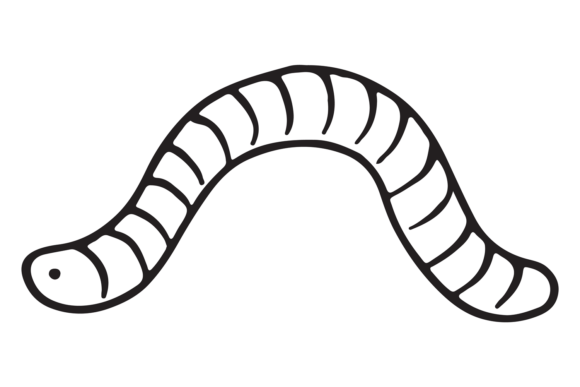Worm Doodle Graphics: Hand-Drawn Illustrations for Branding